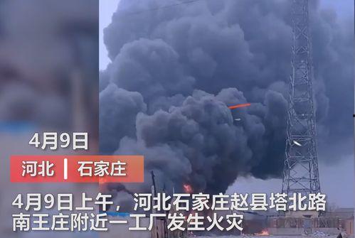 王庄最新爆料新闻视频,揭秘事件背后惊人真相! 第3张 王庄最新爆料新闻视频,揭秘事件背后惊人真相! 第3张